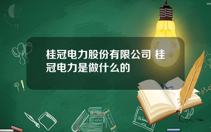 桂冠电力股份有限公司 桂冠电力是做什么的